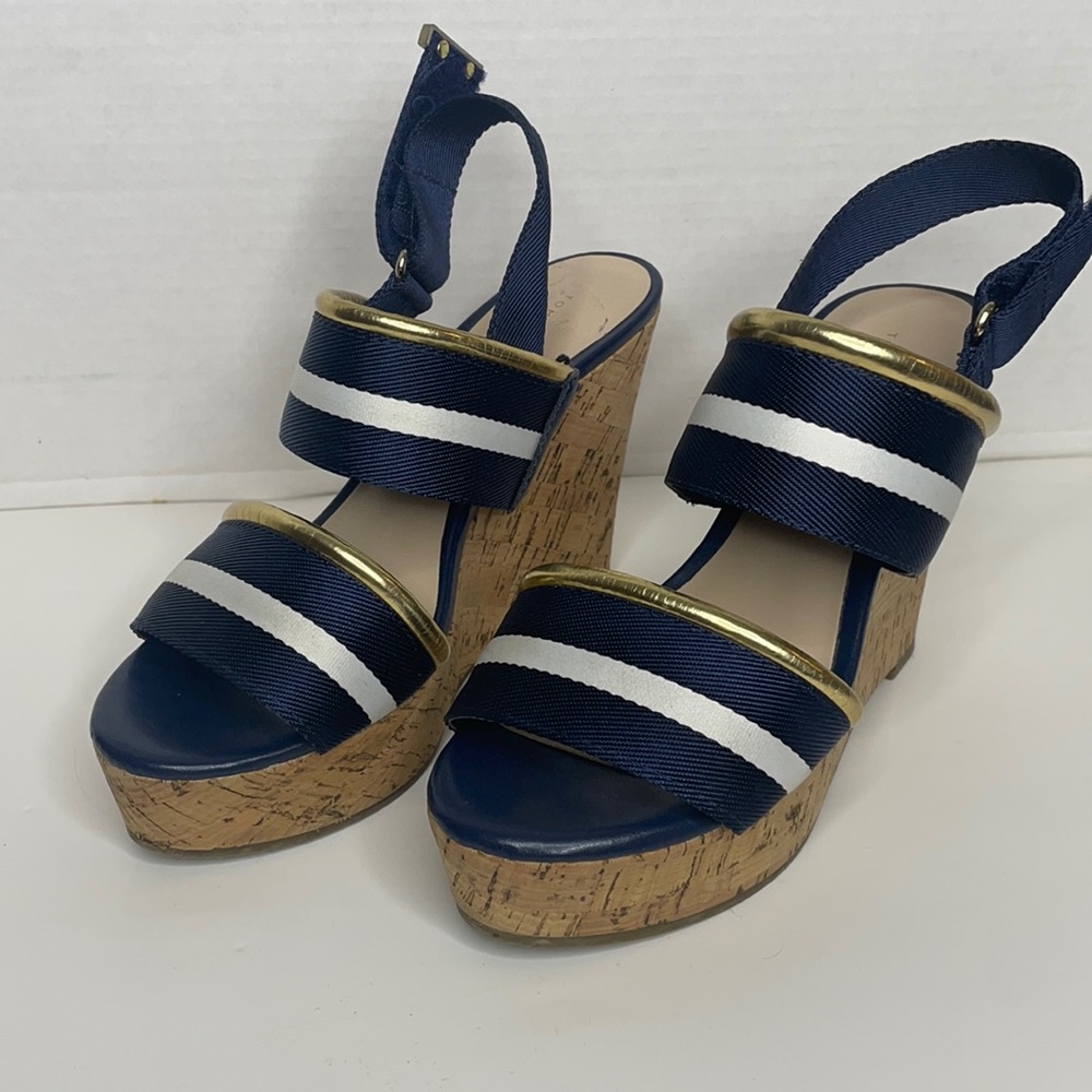 Clearance‼️ TOMMY HILFIGER blue and white platform
